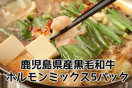052-17 鹿児島県産黒毛和牛ホルモンミックス5パック