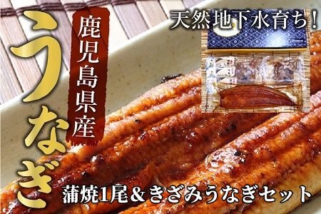 062-3-05 鹿児島県産うなぎ蒲焼1尾&きざみうなぎセット