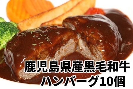 071-02 鹿児島県産黒毛和牛ハンバーグ10個 合計 1.5kg
