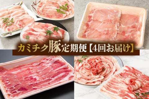【全4回】鹿児島県産 カミチク豚 定期便 076-16