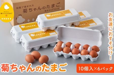 042-03 菊ちゃんのたまご10個入×6パック