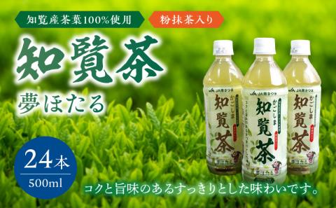 051-25 知覧茶夢ほたるペットボトル24本