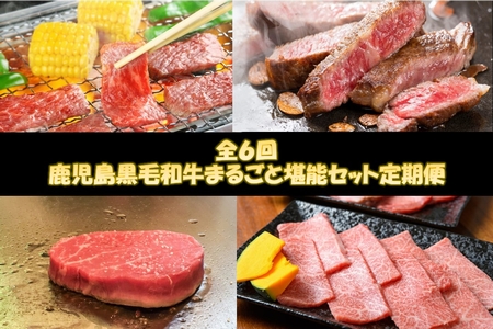 【全6回】鹿児島黒毛和牛まるごと堪能セット定期便 084-15