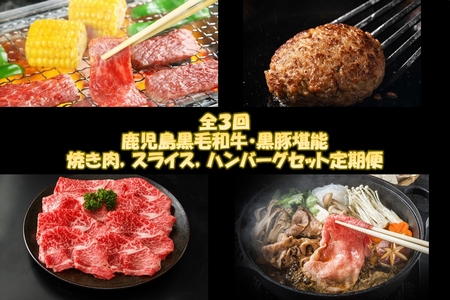 【全3回】鹿児島黒毛和牛・黒豚堪能焼き肉、スライス、ハンバーグセット定期便 084-16