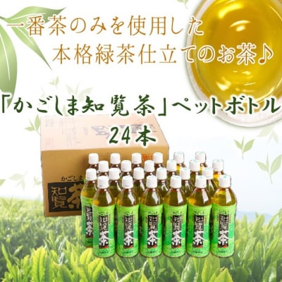 かごしま知覧茶ペットボトル24本