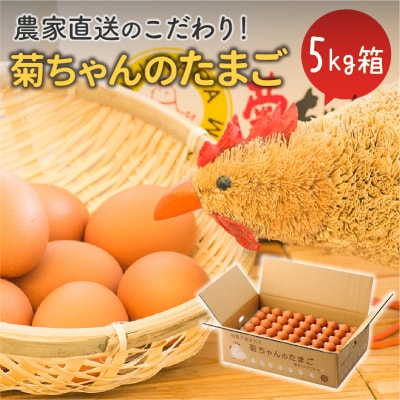 菊ちゃんのたまご5kg箱