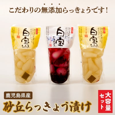 鹿児島県産砂丘らっきょう漬けセット