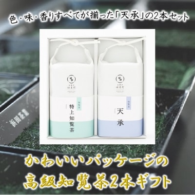 かわいいパッケージの高級知覧茶2本ギフト