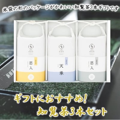 ギフトにおすすめ!知覧茶3本セット