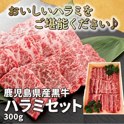 鹿児島県産黒毛和牛ハラミ300g【配送不可地域：離島】