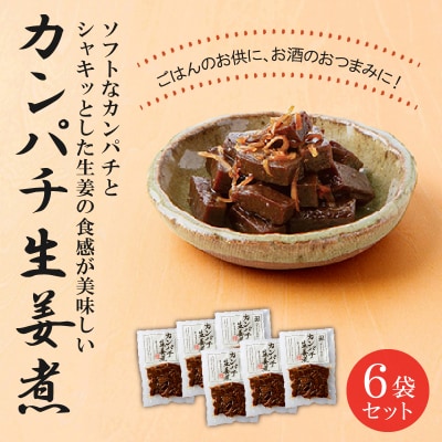 カンパチ生姜煮6袋セット