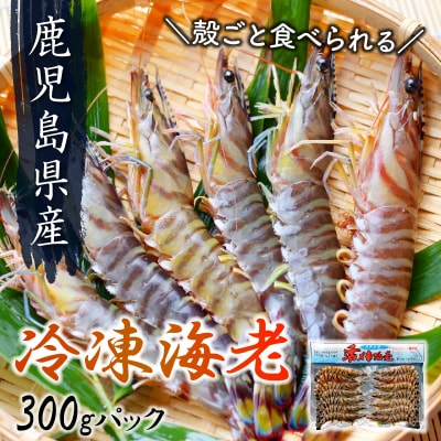 殻ごと食べられる冷凍車海老　300gパック【配送不可地域：離島】