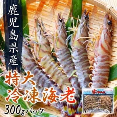 鹿児島県産特大冷凍車海老300g【配送不可地域：離島】