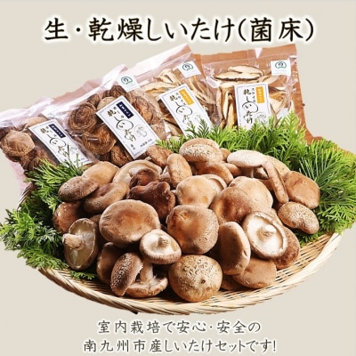 生しいたけ1kg・乾燥しいたけ4袋【配送不可地域：離島・北海道・沖縄県・東北・関東・信越、北陸・東海・近畿・四国】