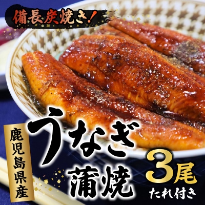 鹿児島県産うなぎ蒲焼3尾 タレ付【配送不可地域：離島】