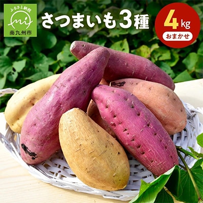 さつまいも3種おまかせ4kgセット