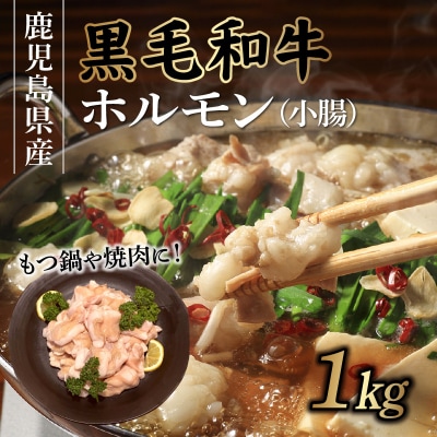 鹿児島県産黒毛和牛ホルモン(小腸)1kg【配送不可地域：離島】