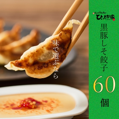 かごしま黒豚しそ餃子60個(タレ付)【配送不可地域：離島】