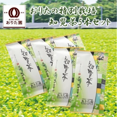 おりたの特別栽培知覧茶5本セット