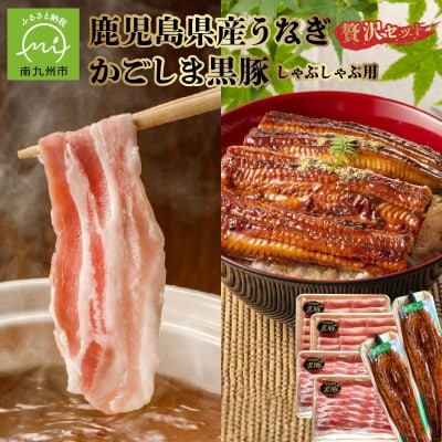 かごしま黒豚しゃぶしゃぶ用4パック・鹿児島県産ウナギ2尾の贅沢セット【配送不可地域：離島】