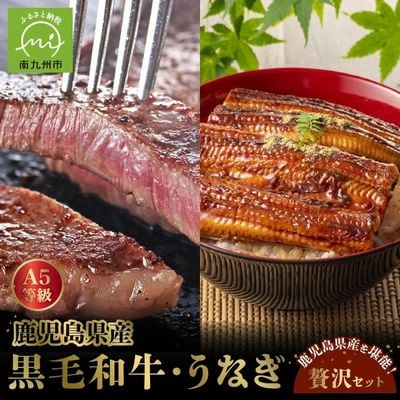 鹿児島県産黒毛和牛A5等級サーロイン4枚・鹿児島県産ウナギ2尾の贅沢セット【配送不可地域：離島】