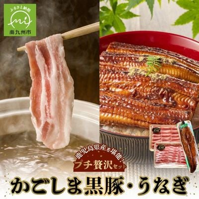 かごしま黒豚しゃぶしゃぶ用2パック・鹿児島県産ウナギ1尾のプチ贅沢セット【配送不可地域：離島】