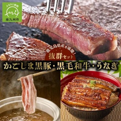 かごしま黒豚しゃぶしゃぶ用2パック・黒毛和牛サーロイン2枚・ウナギ1尾の抜群セット【配送不可地域：離島】
