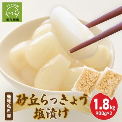 鹿児島県産砂丘らっきょう塩漬け1.8キロ【配送不可地域：離島】