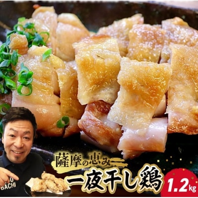 薩摩の恵み 一夜干し鶏1.2kg【配送不可地域：離島】