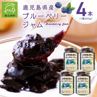 ブルーベリージャム 250g×4個
