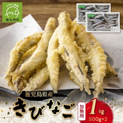 鹿児島県産キビナゴ1kg【配送不可地域：離島】