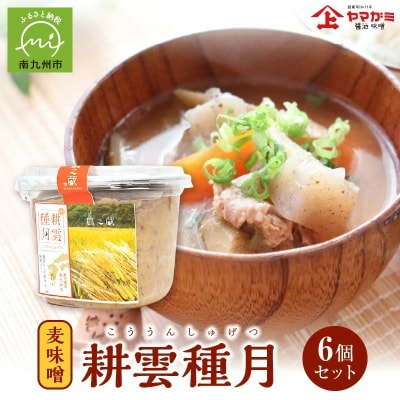 ヤマガミ「耕雲種月」味噌6個セット