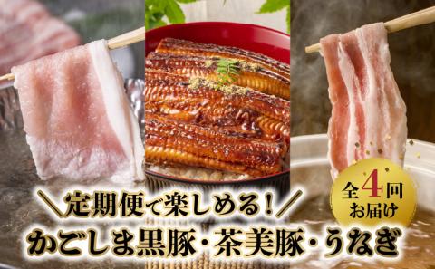 【全4回】かごしま黒豚・茶美豚・うなぎ定期便 106-13
