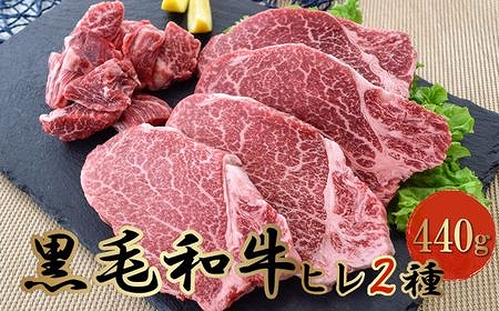 076-37 黒毛和牛 ヒレ 2種 ステーキカット & サイコロカット 220g × 2パック 鹿児島県産 牛肉 赤身 ステーキ カミチク 南九州市