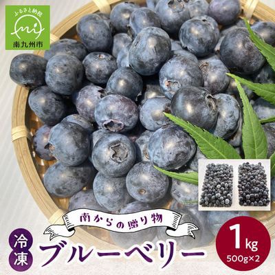 冷凍ブルーベリー 1kg【配送不可地域：離島】
