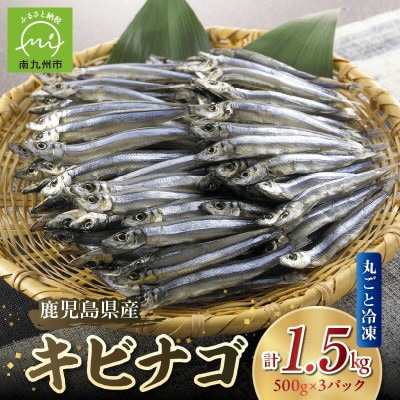 鹿児島県産キビナゴ丸ごと冷凍1.5kg 008-65【配送不可地域：離島】