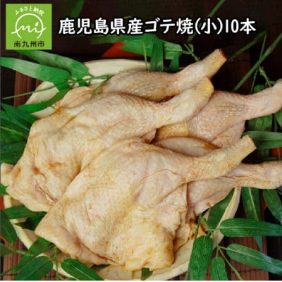 鹿児島県産ゴテ焼(小)10本 008-54【配送不可地域：離島】