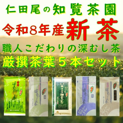 【令和8年産 新茶予約 贈答用】知覧茶園深むし茶 厳撰茶葉5本セット