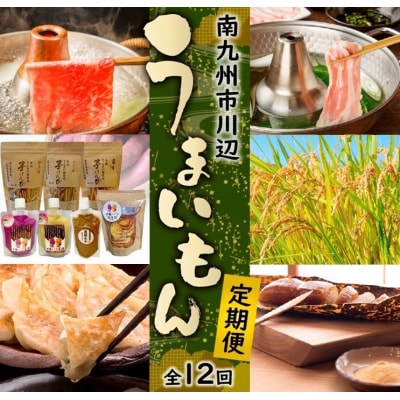 【発送月固定定期便】南九州市川辺うまいもん定期便全12回【配送不可地域：離島】