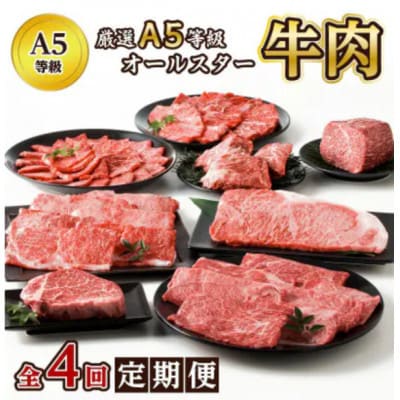 【発送月固定定期便】厳選A5等級オールスター牛肉定期便(南九州市)全4回【配送不可地域：離島】
