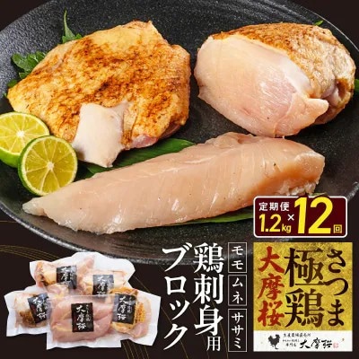【毎月定期便】さつま極鶏大摩桜 刺身用ブロック全12回【配送不可地域：離島】