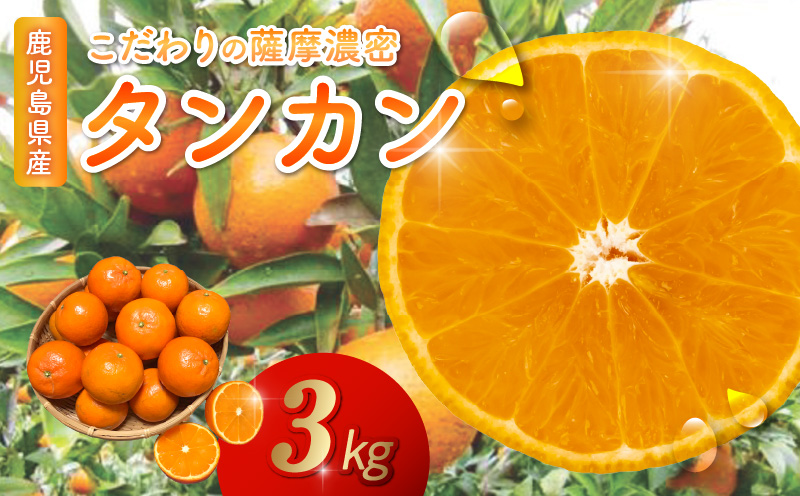 002-13 こだわりの薩摩濃密タンカン3kg
