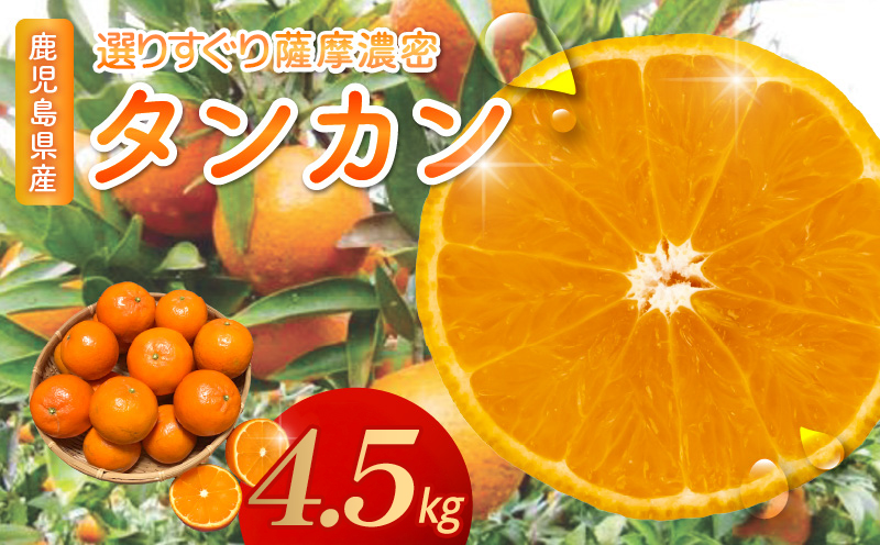 002-25 こだわりの薩摩濃密タンカン4.5kg