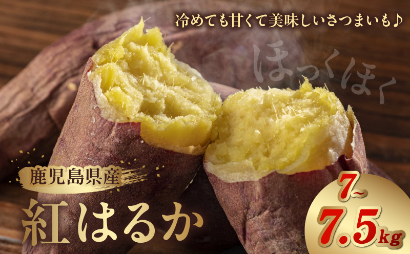 008-59 鹿児島県産紅はるか7～7.5kg