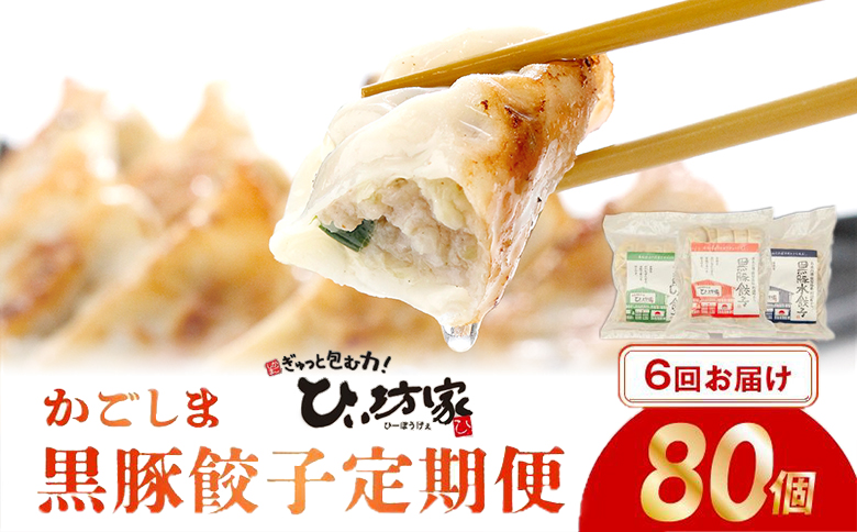 【全6回】ひぃ坊家の餃子定期便 015-10