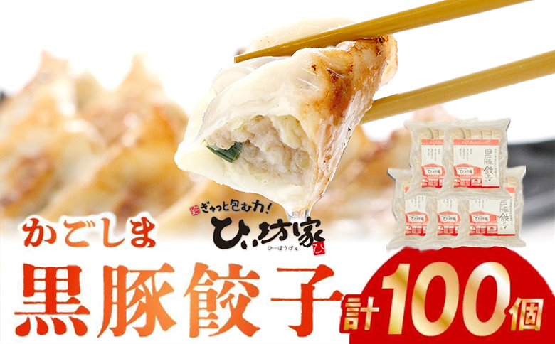 015-23 定番のかごしま黒豚餃子100個(タレ付）