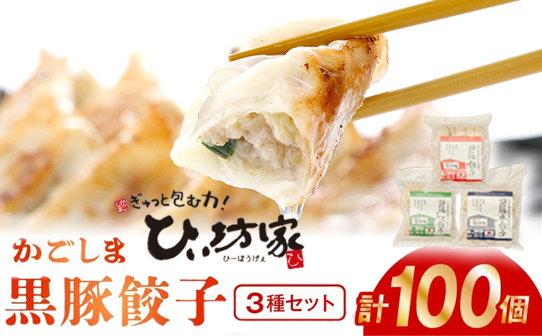 015-24 ひぃ坊家の黒豚餃子3種100個(タレ付）