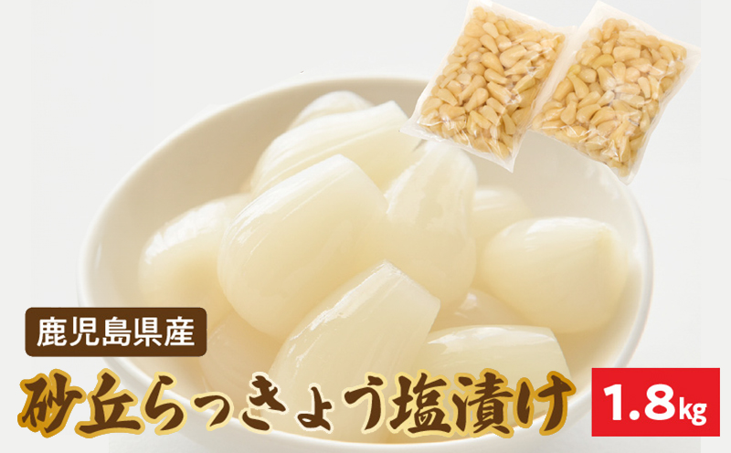 017-05 鹿児島県産砂丘らっきょう塩漬け1.8kg