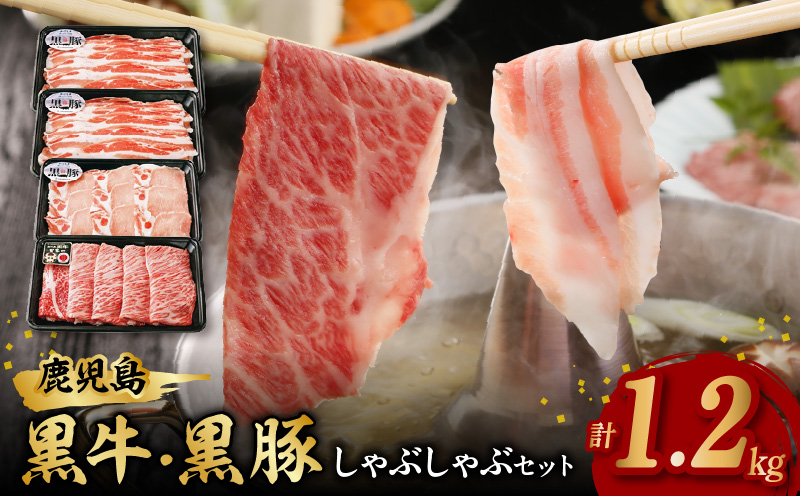 022-46 鹿児島黒牛・黒豚しゃぶしゃぶセット