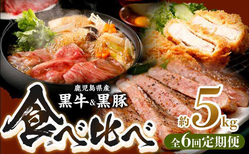【全6回】鹿児島黒牛・黒豚食べ比べ定期便 022-57